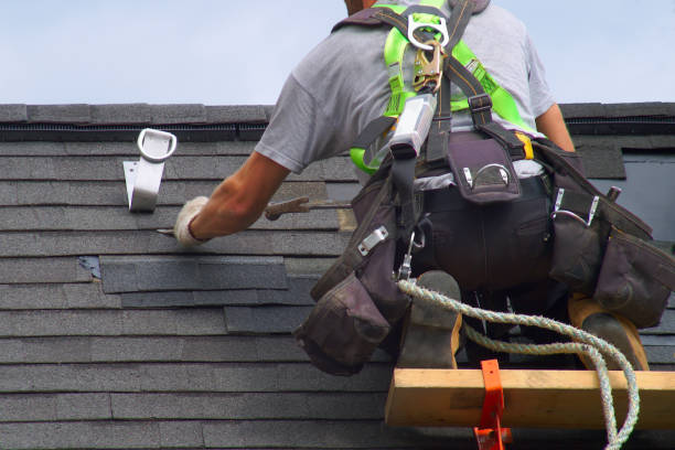 Best Storm Damage Roof Repair  in Franklinville, NJ