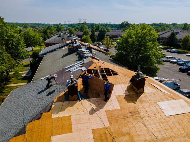 Best Flat Roof Repair Services  in Franklinville, NJ